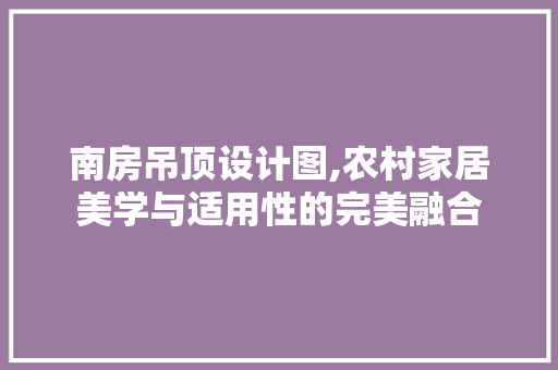 南房吊顶设计图,农村家居美学与适用性的完美融合
