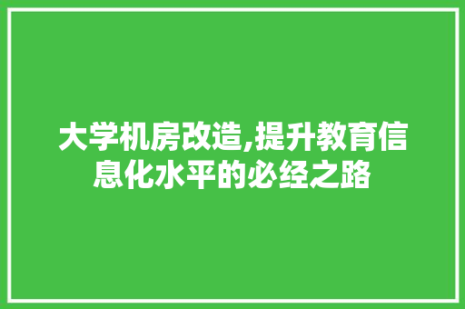 大学机房改造,提升教育信息化水平的必经之路