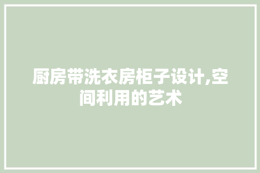 厨房带洗衣房柜子设计,空间利用的艺术