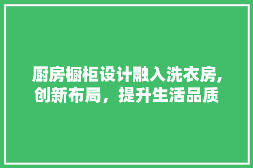 厨房橱柜设计融入洗衣房,创新布局，提升生活品质