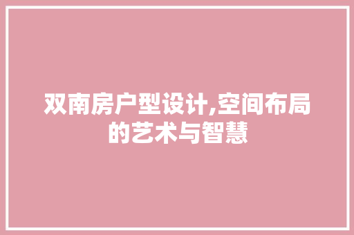 双南房户型设计,空间布局的艺术与智慧