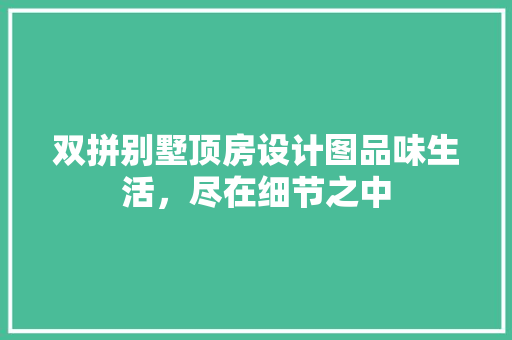 双拼别墅顶房设计图品味生活，尽在细节之中