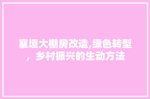 襄垣大棚房改造,绿色转型，乡村振兴的生动方法