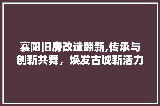 襄阳旧房改造翻新,传承与创新共舞，焕发古城新活力
