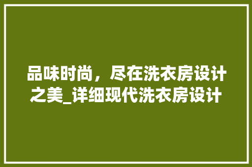 品味时尚，尽在洗衣房设计之美_详细现代洗衣房设计效果