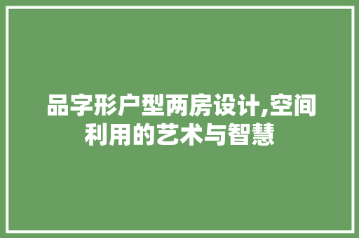 品字形户型两房设计,空间利用的艺术与智慧