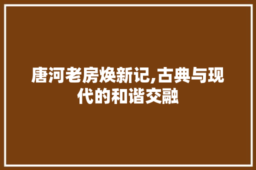 唐河老房焕新记,古典与现代的和谐交融