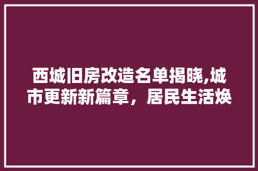 西城旧房改造名单揭晓,城市更新新篇章，居民生活焕新颜