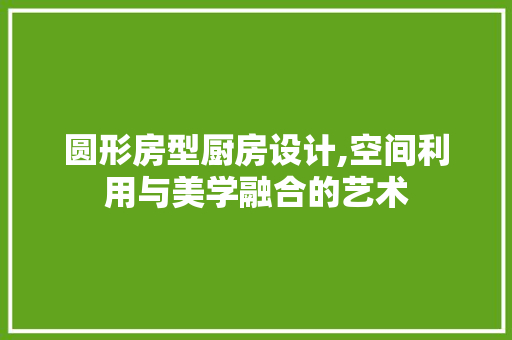 圆形房型厨房设计,空间利用与美学融合的艺术