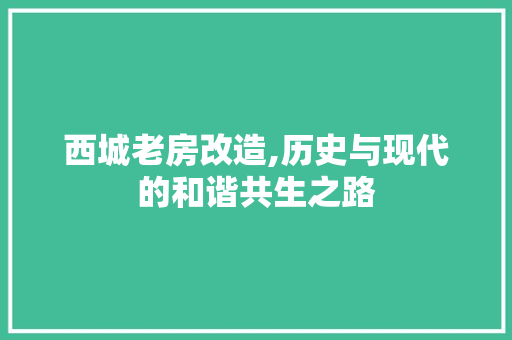 西城老房改造,历史与现代的和谐共生之路