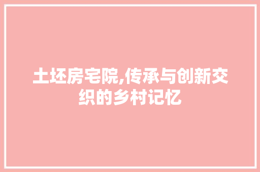 土坯房宅院,传承与创新交织的乡村记忆