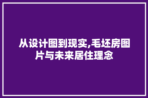 从设计图到现实,毛坯房图片与未来居住理念