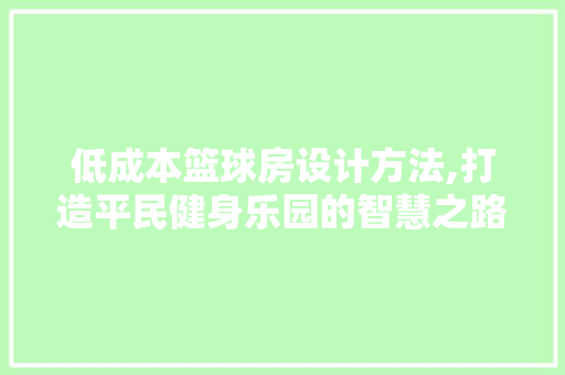低成本篮球房设计方法,打造平民健身乐园的智慧之路