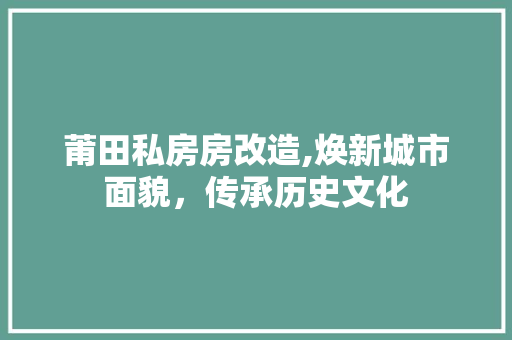 莆田私房房改造,焕新城市面貌，传承历史文化