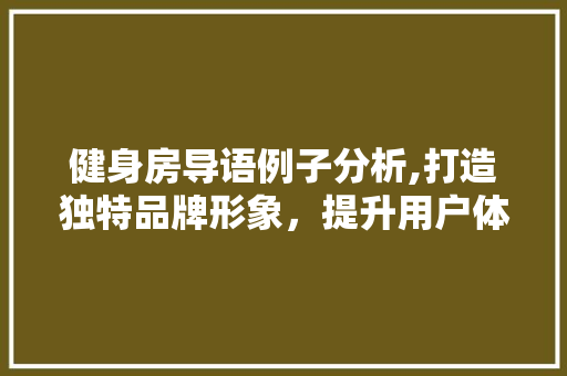 健身房导语例子分析,打造独特品牌形象，提升用户体验