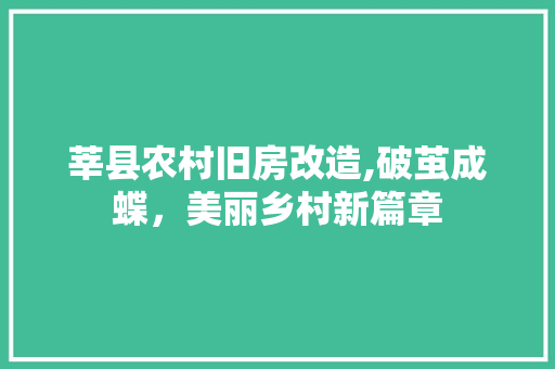 莘县农村旧房改造,破茧成蝶，美丽乡村新篇章
