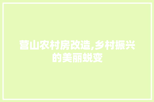 营山农村房改造,乡村振兴的美丽蜕变