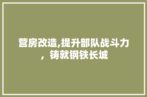 营房改造,提升部队战斗力，铸就钢铁长城