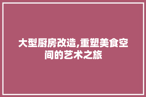 大型厨房改造,重塑美食空间的艺术之旅