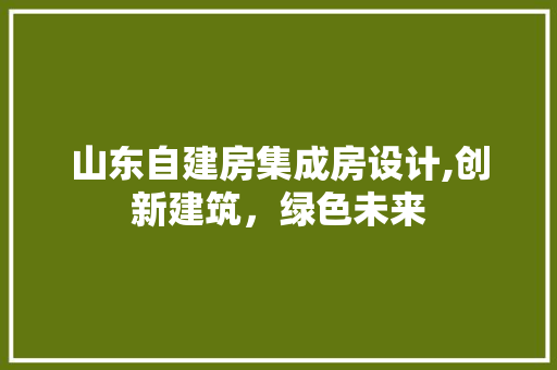 山东自建房集成房设计,创新建筑，绿色未来