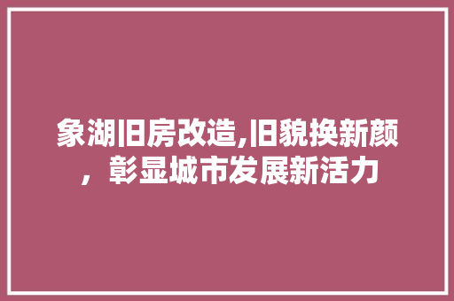 象湖旧房改造,旧貌换新颜，彰显城市发展新活力