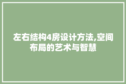 左右结构4房设计方法,空间布局的艺术与智慧