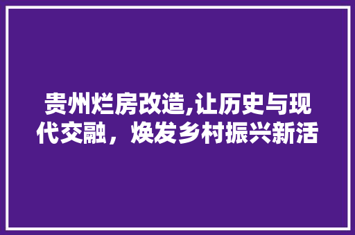 贵州烂房改造,让历史与现代交融，焕发乡村振兴新活力