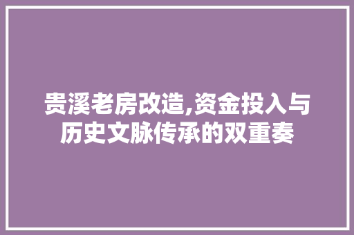 贵溪老房改造,资金投入与历史文脉传承的双重奏