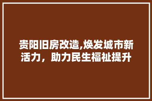 贵阳旧房改造,焕发城市新活力，助力民生福祉提升
