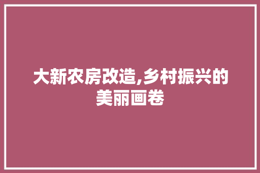 大新农房改造,乡村振兴的美丽画卷