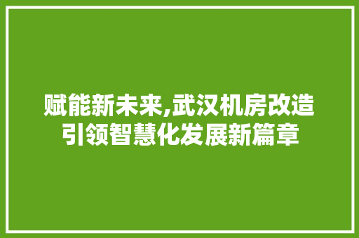 赋能新未来,武汉机房改造引领智慧化发展新篇章