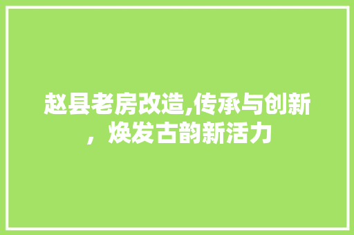 赵县老房改造,传承与创新，焕发古韵新活力