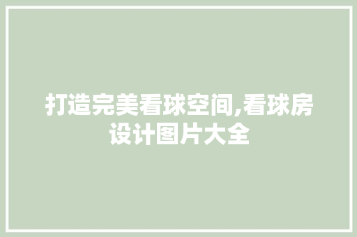 打造完美看球空间,看球房设计图片大全