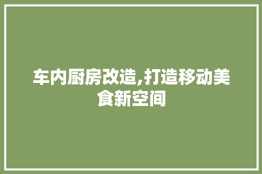 车内厨房改造,打造移动美食新空间