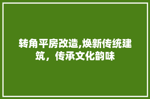 转角平房改造,焕新传统建筑，传承文化韵味