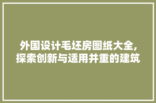 外国设计毛坯房图纸大全,探索创新与适用并重的建筑美学