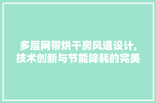 多层网带烘干房风道设计,技术创新与节能降耗的完美融合