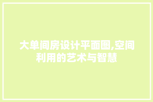 大单间房设计平面图,空间利用的艺术与智慧