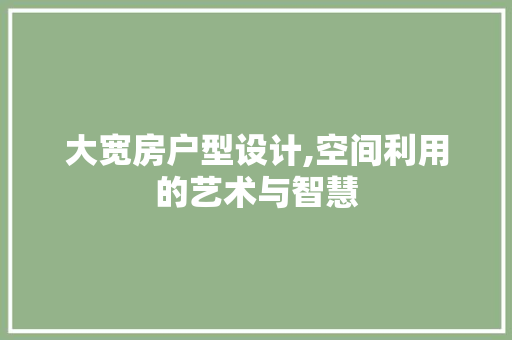 大宽房户型设计,空间利用的艺术与智慧