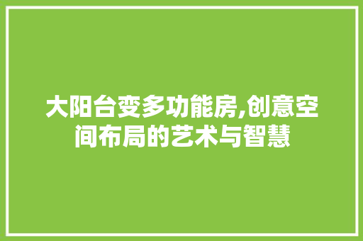 大阳台变多功能房,创意空间布局的艺术与智慧