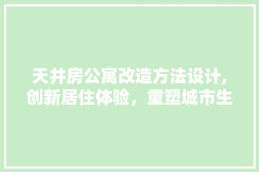 天井房公寓改造方法设计,创新居住体验，重塑城市生活