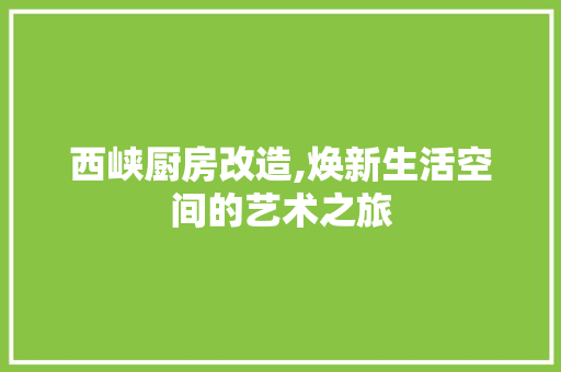 西峡厨房改造,焕新生活空间的艺术之旅