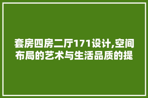 套房四房二厅171设计,空间布局的艺术与生活品质的提升