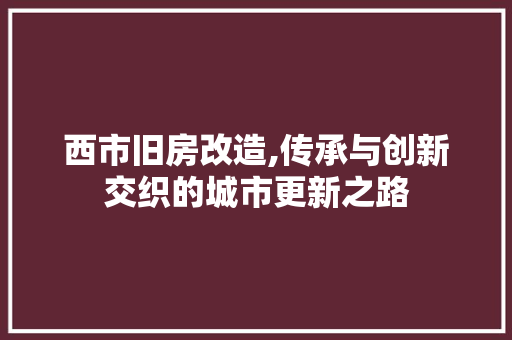 西市旧房改造,传承与创新交织的城市更新之路