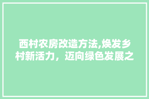 西村农房改造方法,焕发乡村新活力，迈向绿色发展之路