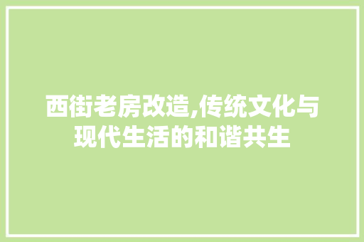 西街老房改造,传统文化与现代生活的和谐共生