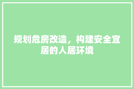 规划危房改造，构建安全宜居的人居环境