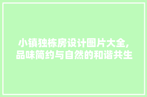 小镇独栋房设计图片大全,品味简约与自然的和谐共生