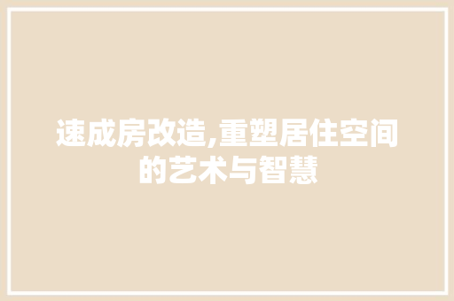 速成房改造,重塑居住空间的艺术与智慧