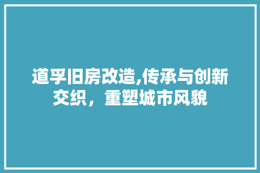 道孚旧房改造,传承与创新交织，重塑城市风貌